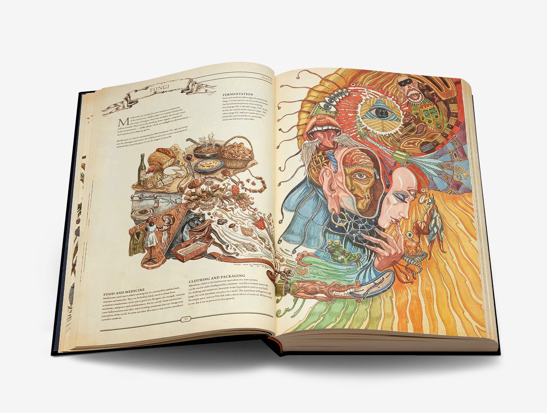 The Book. The Ultimate Guide to Rebuilding Civilization. Spanish Version image #5