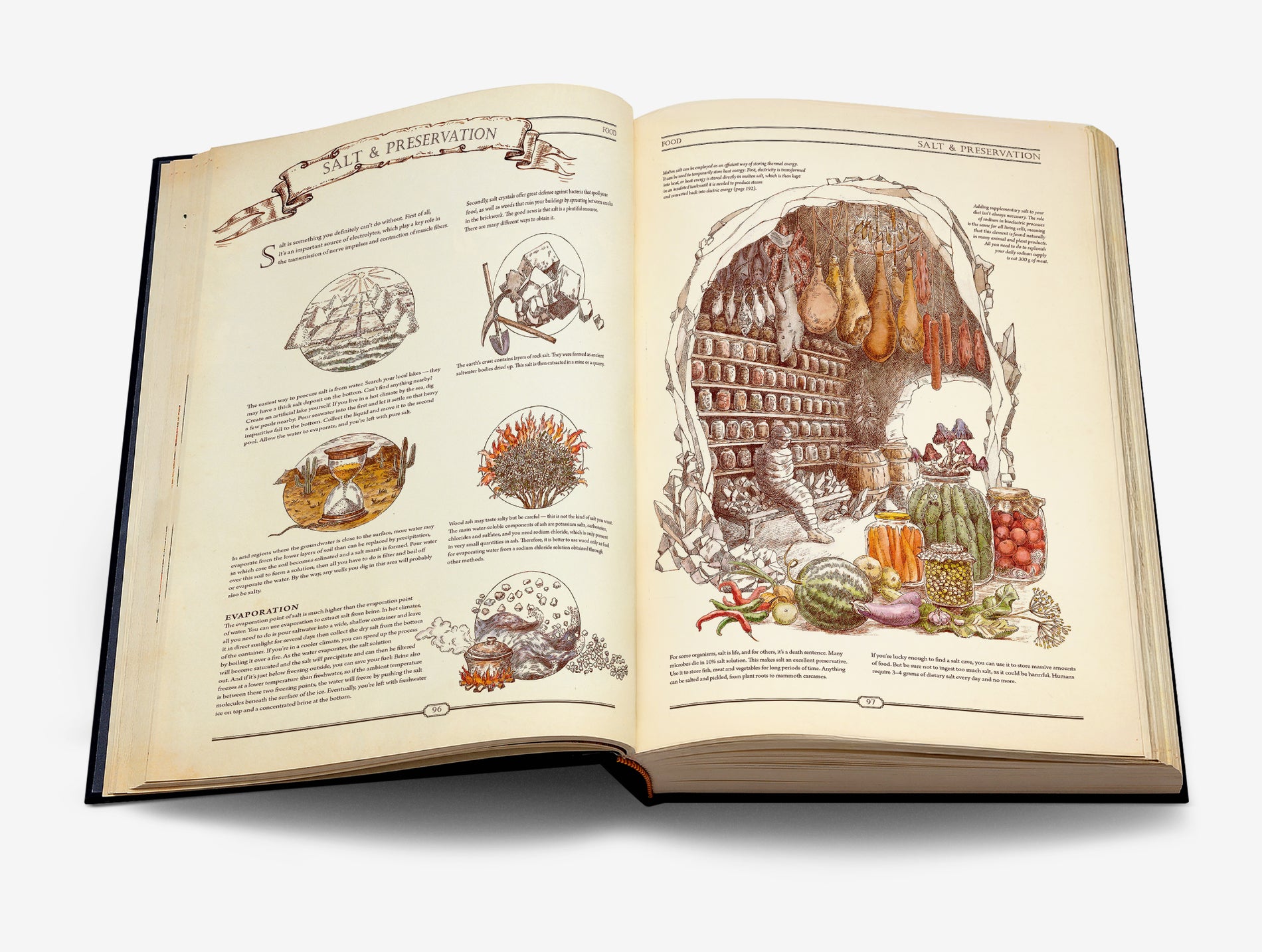 The Book. The Ultimate Guide to Rebuilding Civilization. Spanish Version image #7